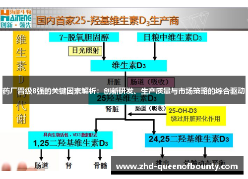 药厂晋级8强的关键因素解析：创新研发、生产质量与市场策略的综合驱动