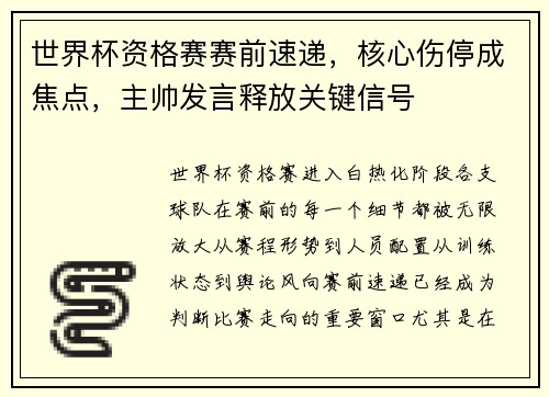 世界杯资格赛赛前速递，核心伤停成焦点，主帅发言释放关键信号